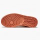 Nike Jordan 1 Mid Apricot Orange Apricot Agate Terra Blush DH4270-800 AJ1 Shoes