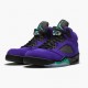 Nike Jordan 5 Retro Alternate Grape 136027-500 AJ5 Shoes