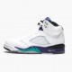 Nike Jordan 5 Retro Grape 136027-108 AJ5 Shoes