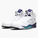 Nike Jordan 5 Retro Grape 136027-108 AJ5 Shoes