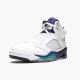 Nike Jordan 5 Retro Grape 136027-108 AJ5 Shoes