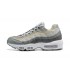 Nike Air Max 95 TT Mens Grey White footwear DC9844-001