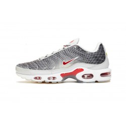 Nike Air Max Plus Tn Mens Grey and White Shoes