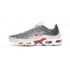 Nike Air Max Plus Tn Mens Grey and White Shoes