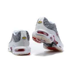 Nike Air Max Plus Tn Mens Grey and White Shoes