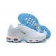 Nike Air Max Plus Tn Mens White Blue Shoes