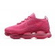 Nike Air Max Scorpion WMNS Pink footwear DR0888-008