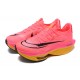 Nike Air Zoom Alphafly Next 2 Womens/Mens Pink Red footwear